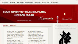 karatesibiu-3
